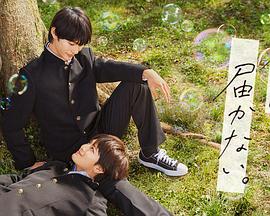 济宁seo优化网费用